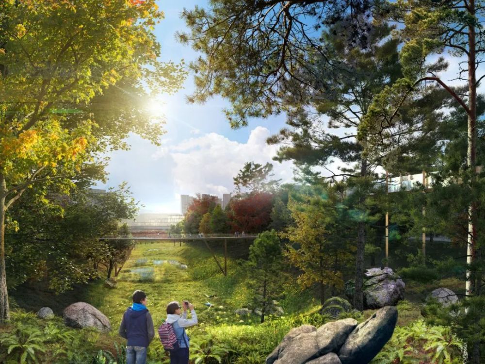 天津海河边将新建两个公园！设计方案曝光！