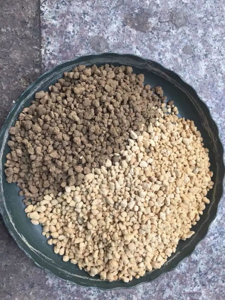 多肉配土 正确分辨泥炭土 了解软硬颗粒 自己搭配更省钱 腾讯新闻