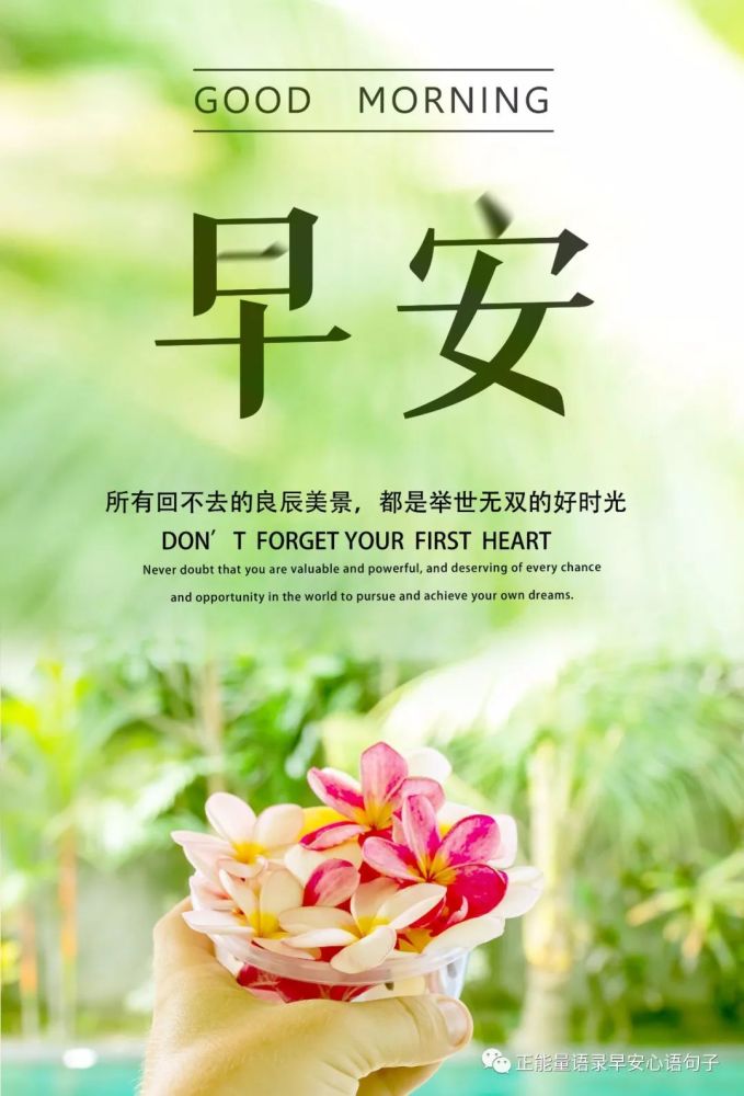 12月28日早安心语|微信早安问候语图片,早安正能量语录励志句子