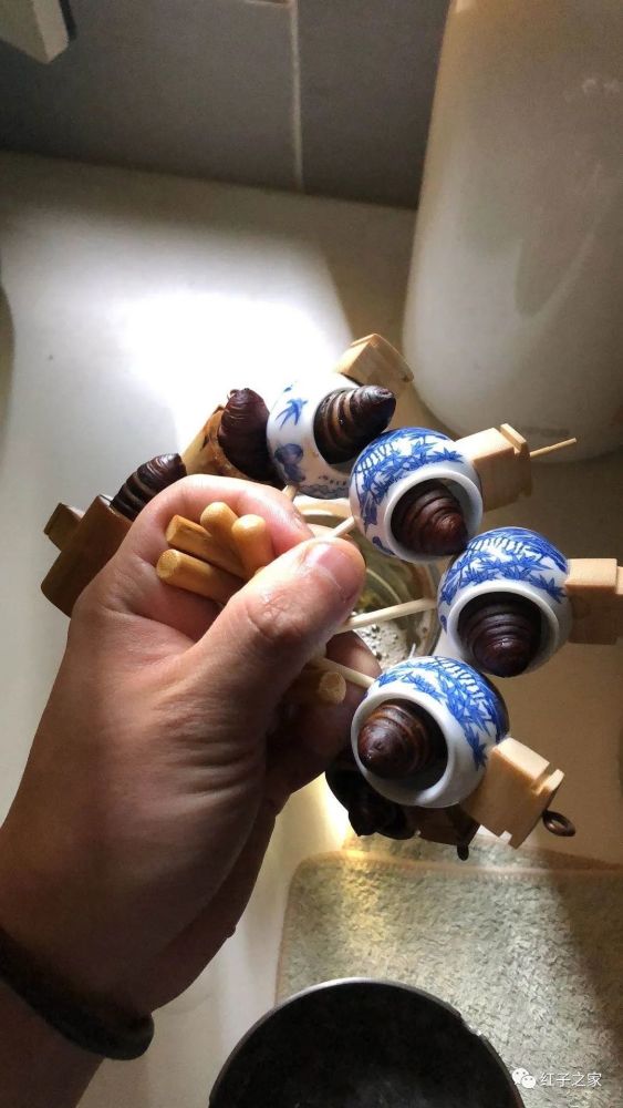 九爷讲堂玩红子的误区二蚕蛹这点事