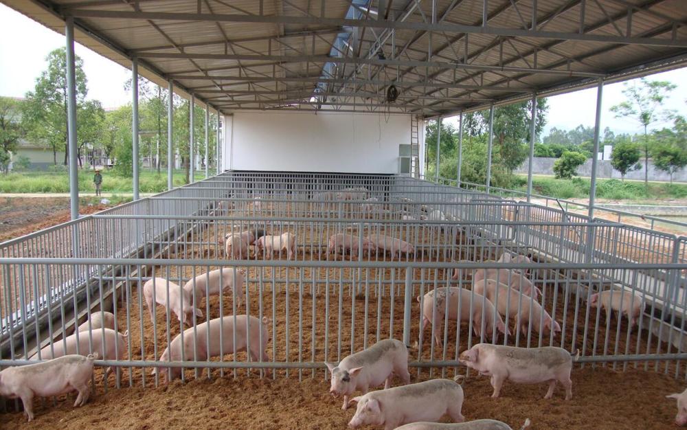自然养猪法之育肥猪舍建设因气候因素导致南北方设计存在差异性