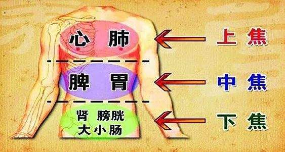脏腑|三焦|中医|灵枢·营卫生会篇