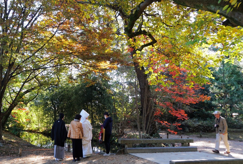 米其林旅游指南 三星推荐 高松旅游最不能错过的栗林公园 腾讯新闻