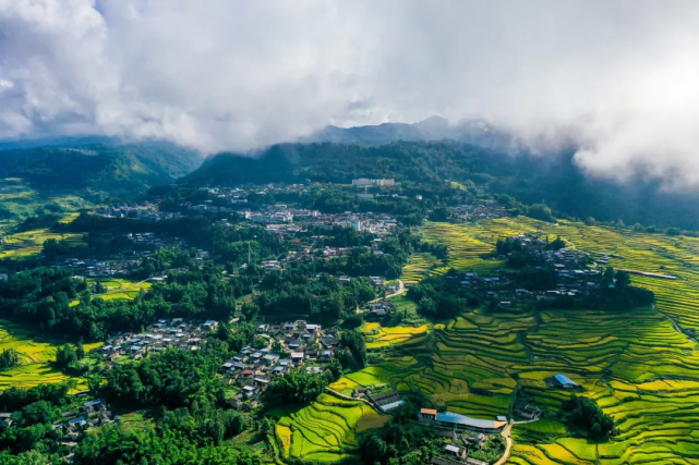 好山好水百姓富,龙陵走出"绿富美"|富民|石斛|农家乐|龙陵县|农民