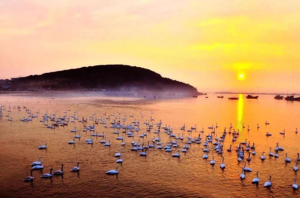 威海旅遊攻略:劉公島,中國甲午戰爭博物館……再夢一回當年的威海衛