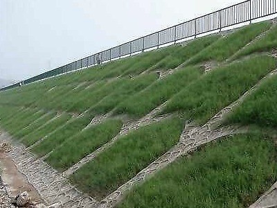 平铺草皮:人工在边坡面直接铺设天然草皮,这种方法适用于来源较容易