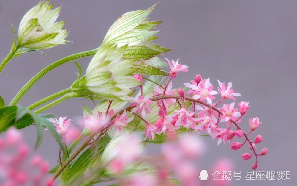 12月29日星座运势 实力大增 心想事成的四大星座 腾讯新闻