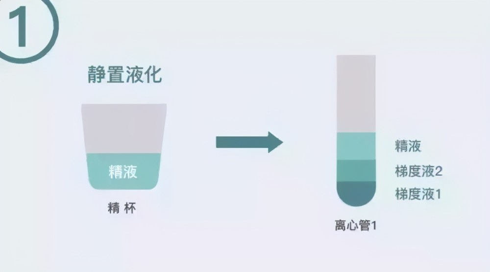 目前各大生殖中心比较常用的是密度梯度离心法.