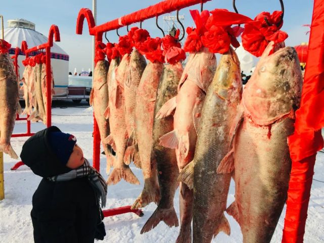 查干湖冬捕 来了 查干湖 松原 冰雪 文化旅游