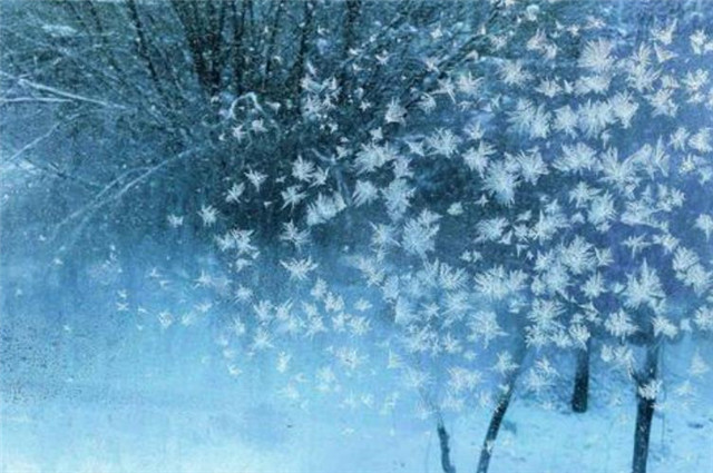 悠悠漾漾做尽轻模样这句雪花宋词给了纳兰性德伤感和灵感