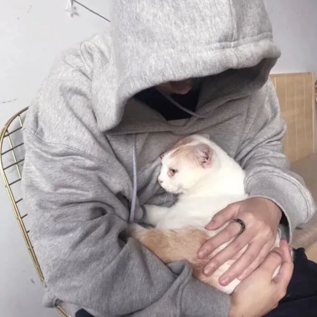 男生头像你可以假装努力但结局不陪你演戏