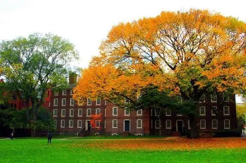 2020美国大学排名一_Nature2020年学术排名公布!中科院蝉联全球第