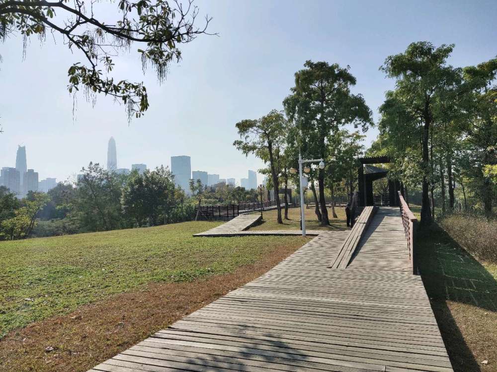 深圳800米宽绿化带福田中心公园