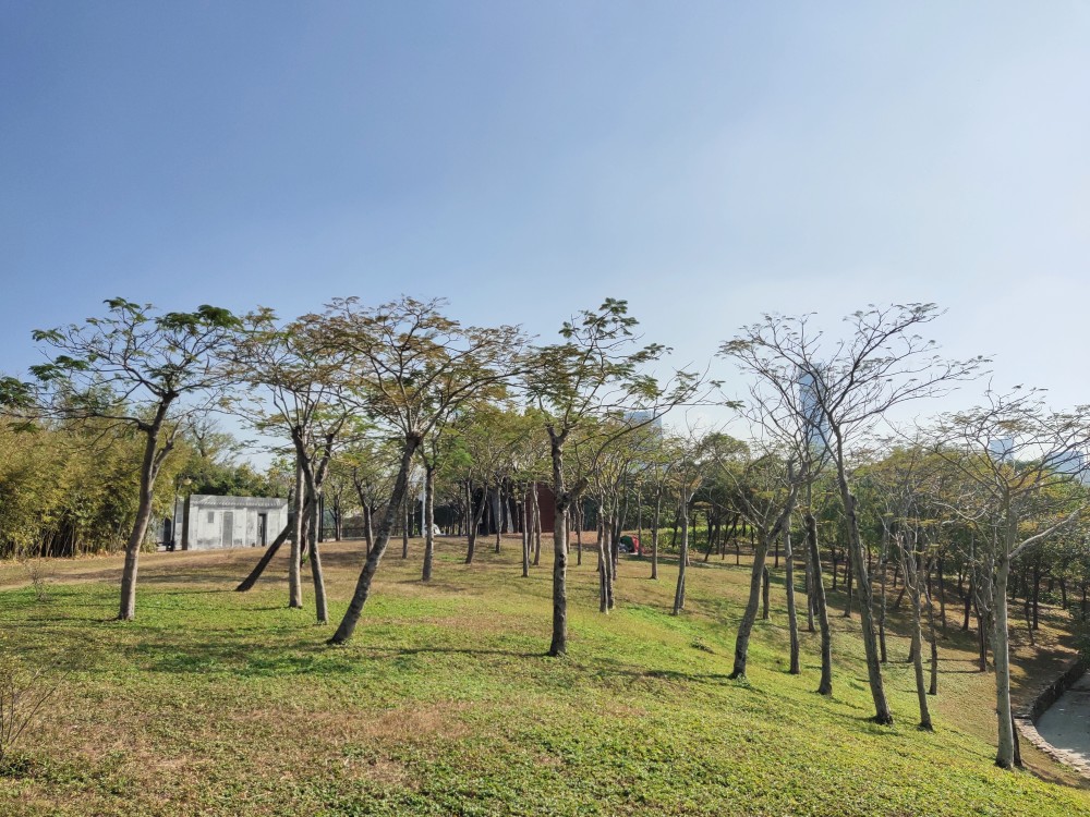 中心公园位于深圳市福田区的中心区,占地面积147公顷,呈南北长条形