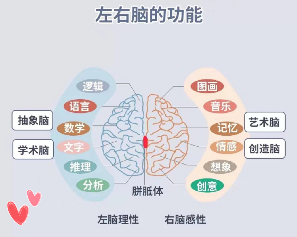 右脑优秀的孩子大多有三个特征表现是个成为学霸的好苗子