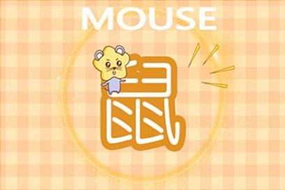 1996年女鼠一生婚姻状况 最好的结婚年龄