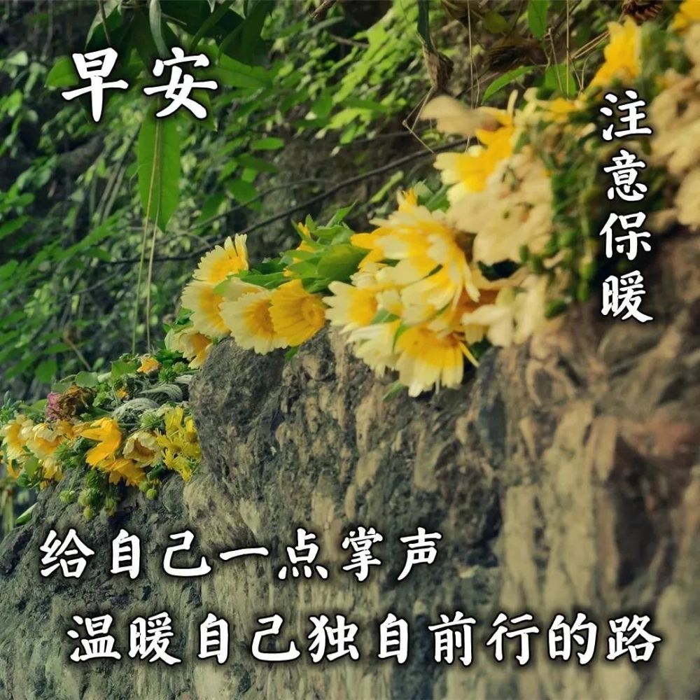 6月28日最漂亮的早上好祝福语图片温馨清晨群发短语暧心问候动图