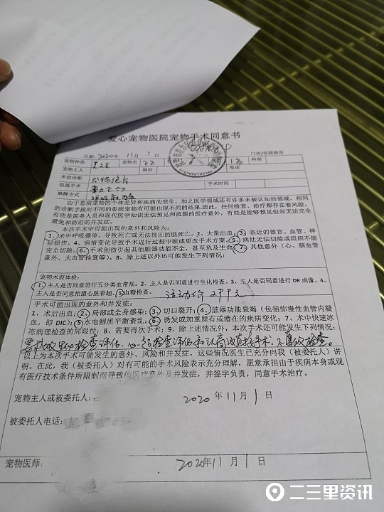 仔細回看這張手術同意書,在術前檢查這一項中具體包含了五項檢查,分別