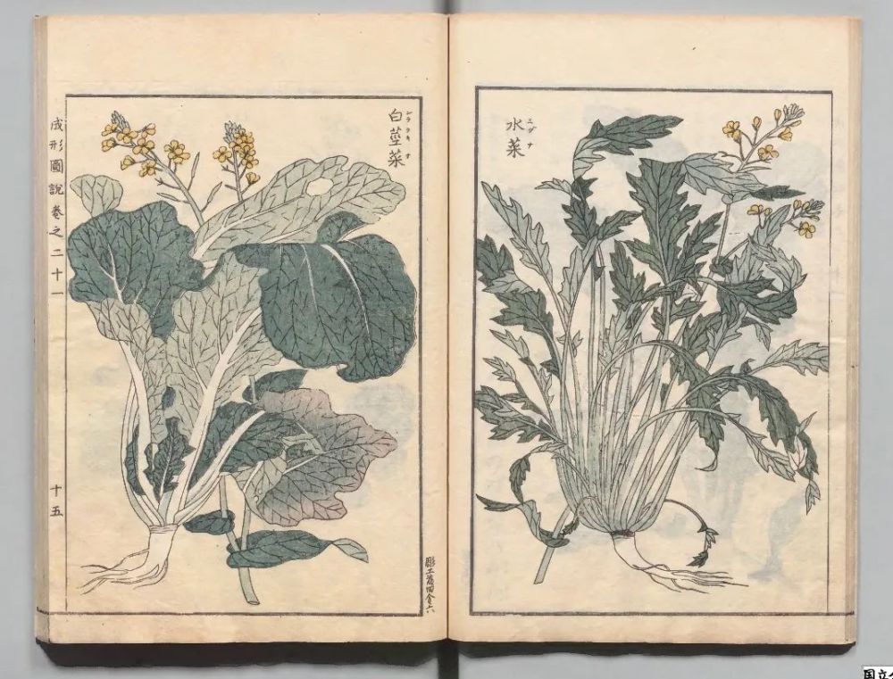 如果不多看看植物 生活就更艰难了 腾讯新闻