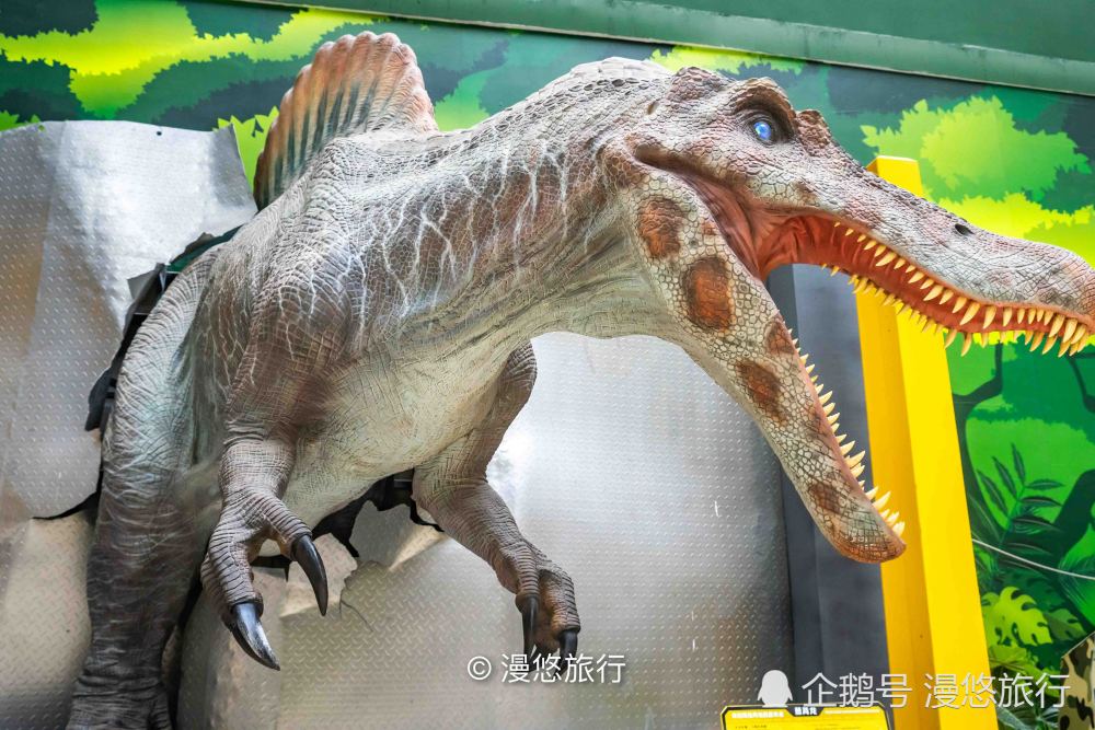 大梦探索乐园主要由粉红梦想馆,飞车世界馆,恐龙研究所,火车博览馆