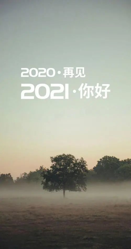 2020再见图片2021图片