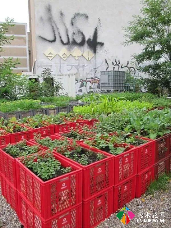 家里有花台的定要看看这15个花坛的设计给你带来不同的灵感 花坛