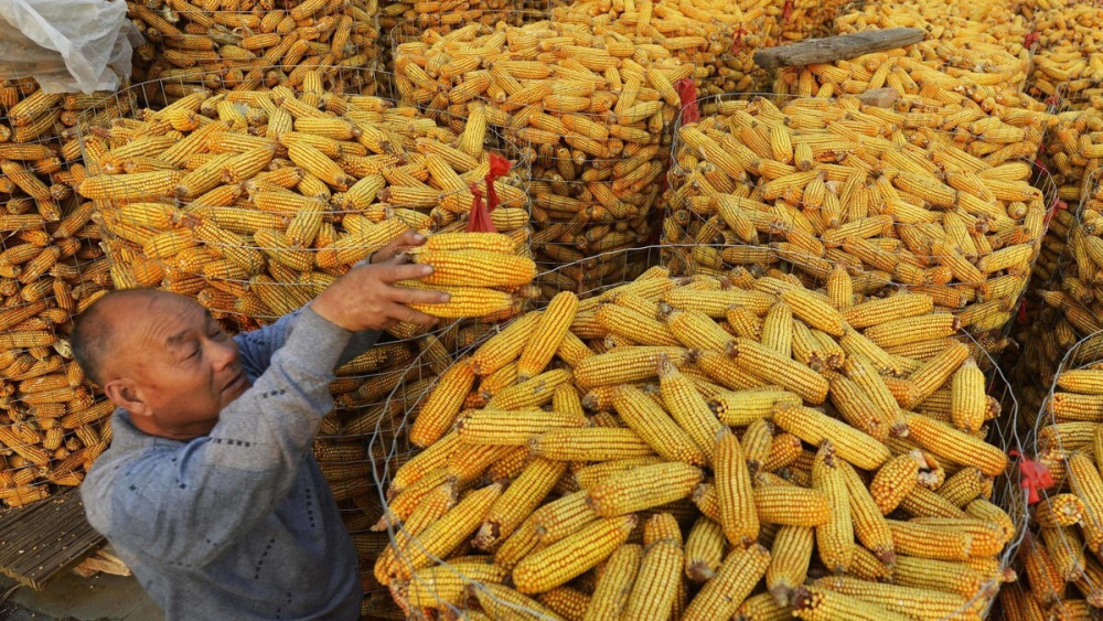 2021辛丑年,俗语"牛年遇黑年,一年忙不歇"什么意思?_腾讯新闻