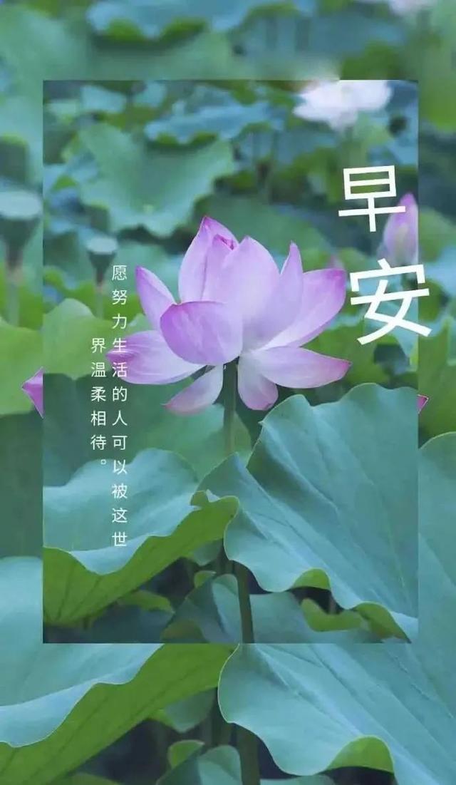 早上好微信最新的正能量语录 一句早安励志句子