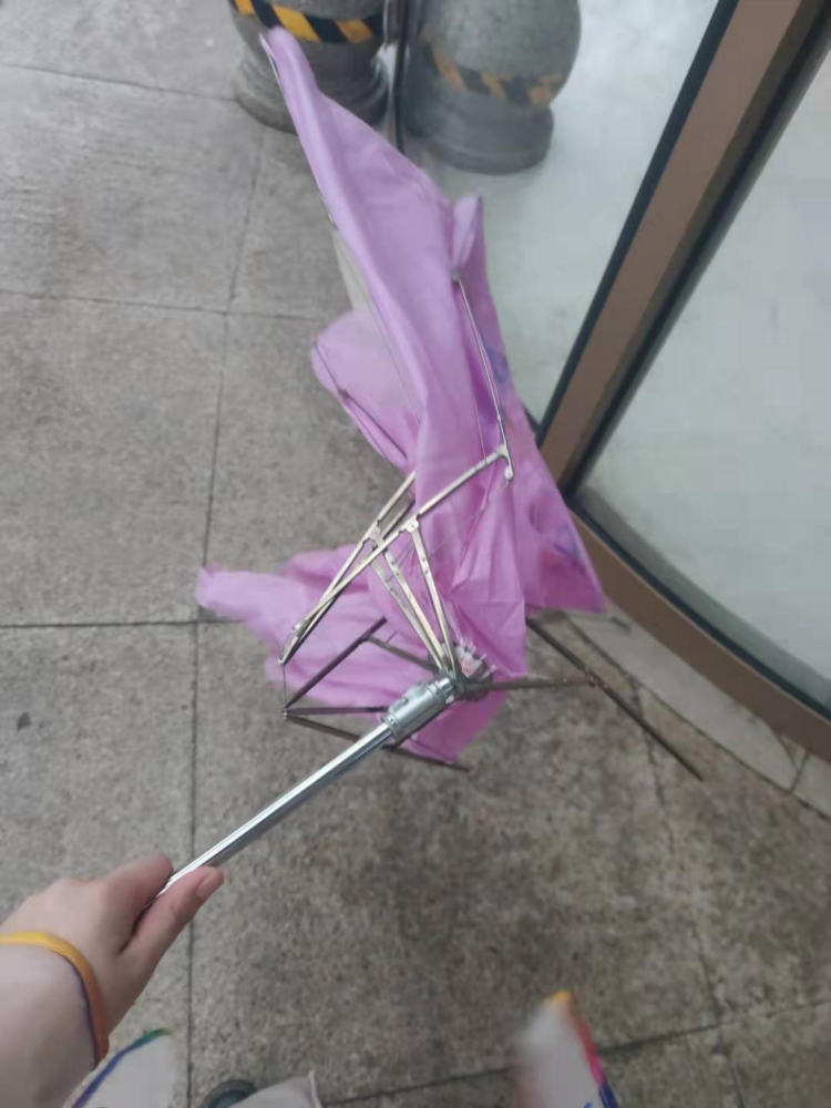 伞….被吹成这个鬼样子了这简直就是暴风雪!网友留言称:快往窗外看!