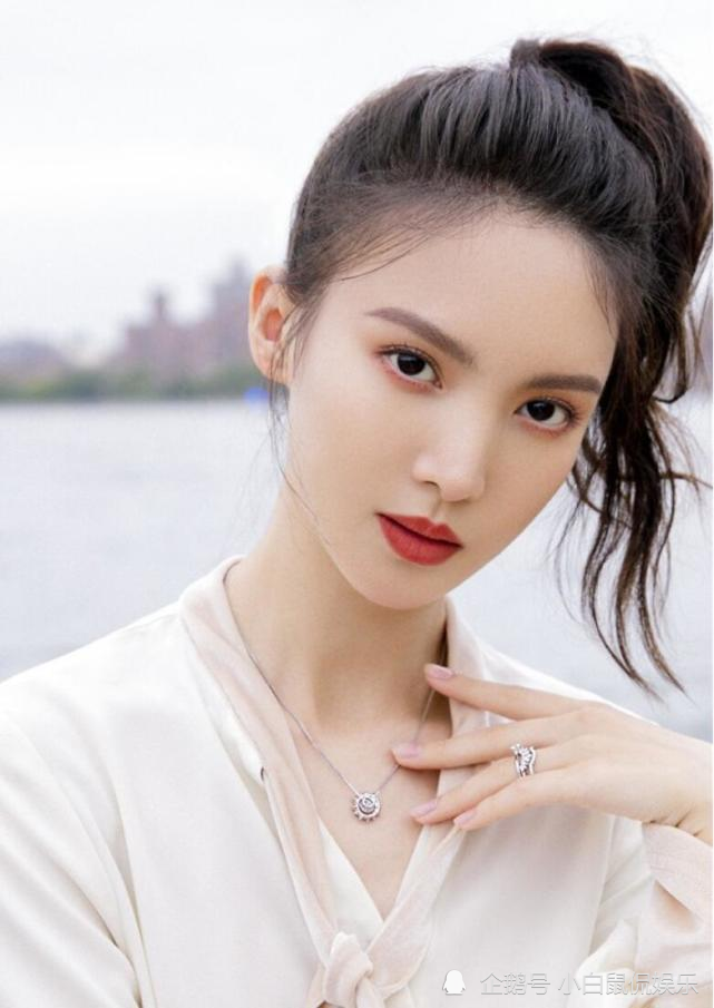 宠物狗热度排行榜_中国一拖热度第一,产品上榜最多,2020网络热度排行榜公布