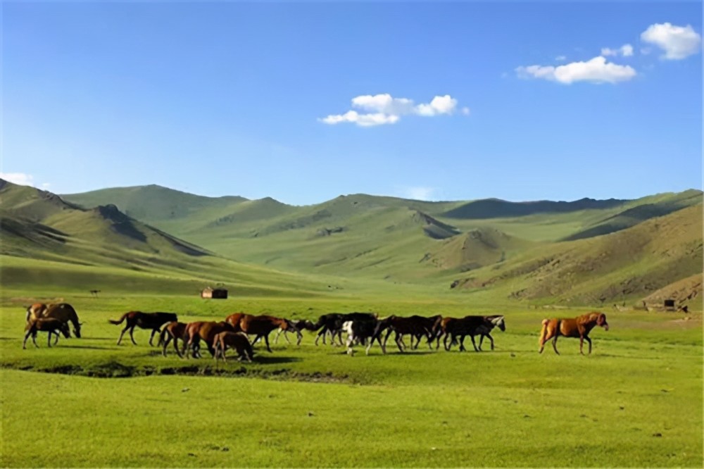 一个是草原羊群蒙古包,另外一个是天气预报上常说的"来自蒙古