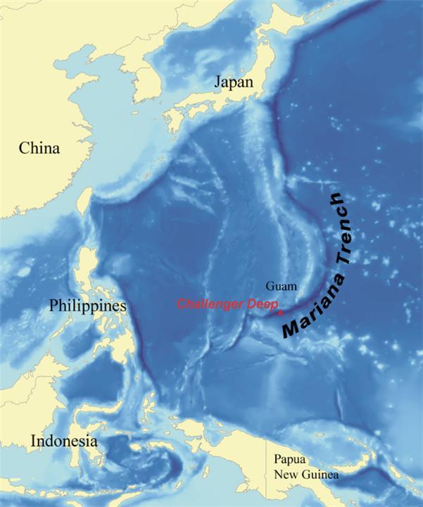 海底10000米處有什麼科學家深入馬裡亞納海溝發現深海生物