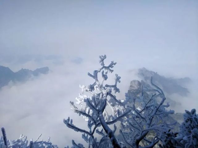 阡陌无纤尘飞雪溯流光,共话过往不惧寒冷,悠哉踱步,告别经年.