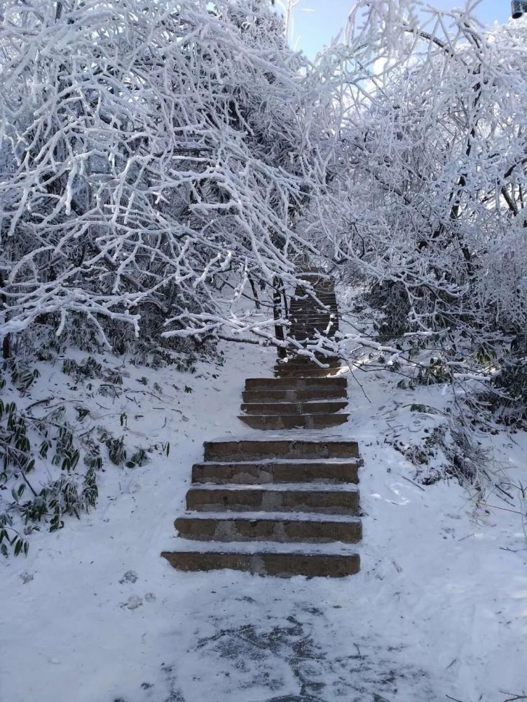 阡陌无纤尘飞雪溯流光,共话过往不惧寒冷,悠哉踱步,告别经年.