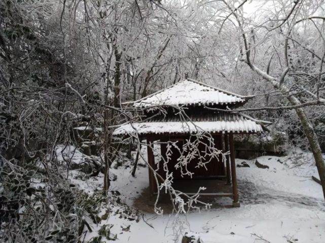 飞雪溯流光,共话过往不惧寒冷,悠哉踱步,告别经年.你那里下雪了吗?