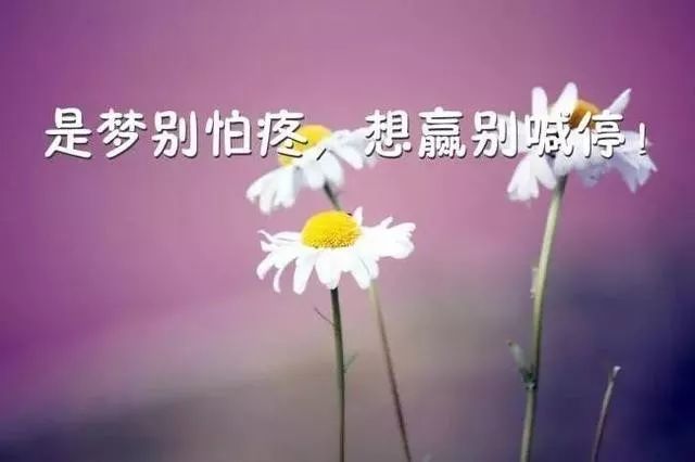 让自己内心强大的句子句句哲理受益匪浅