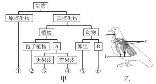 人教版生物八年级上册期末测试卷 有答案 丨可下载打印 腾讯新闻