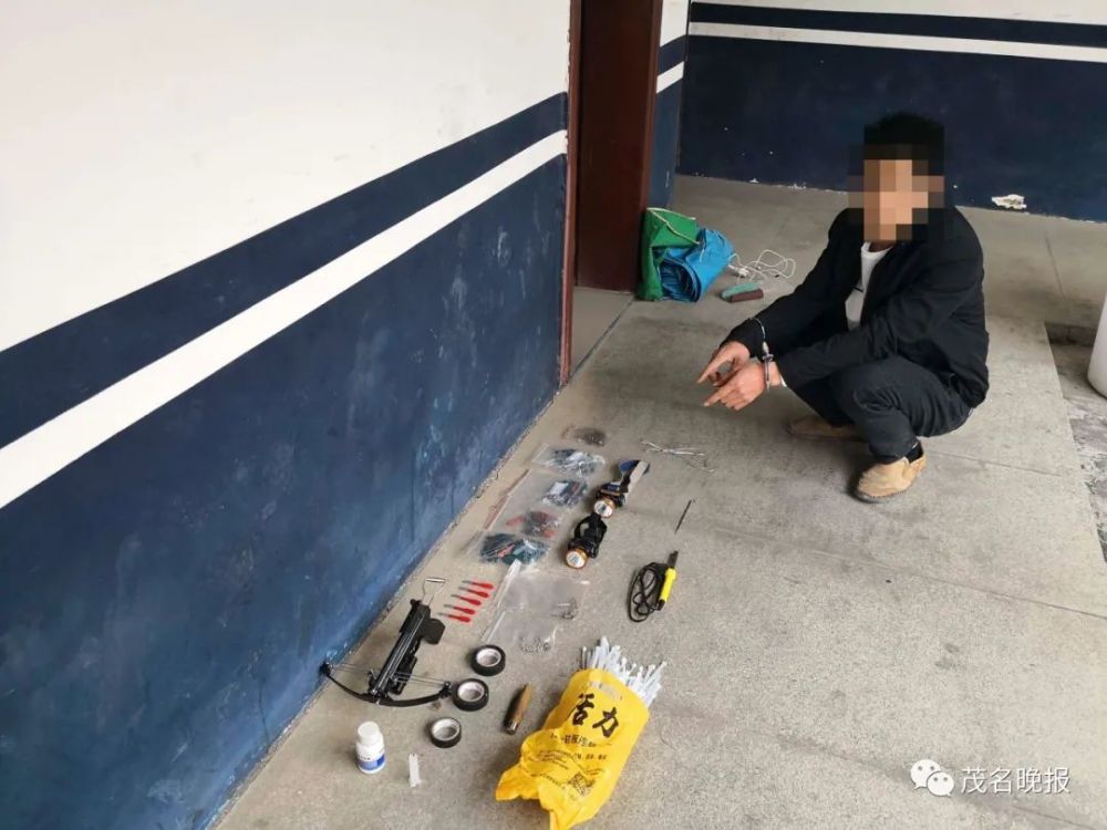 这12人太猖狂偷狗先把狗麻醉茂名警方出手了