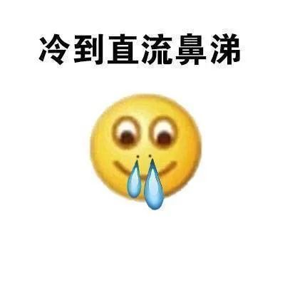 表情包:冷到结冰