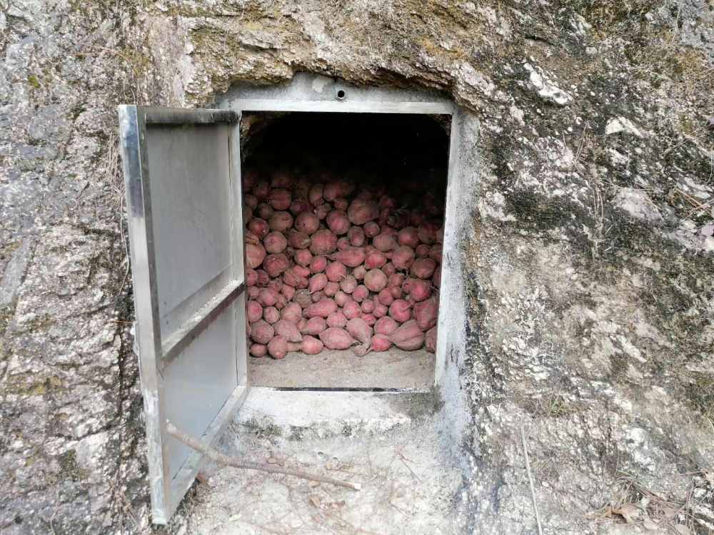 留住乡愁母亲的烤红薯