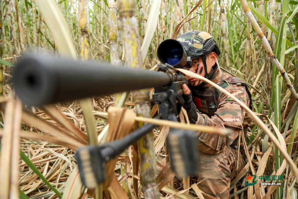 一名狙击手隐蔽在草丛中观察敌情.