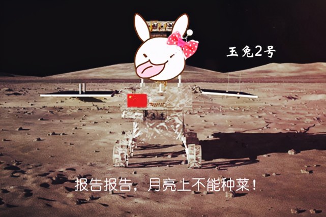 语堂曾提出一个问题 为什么中国人一旦失意 就想着回家种地 腾讯网