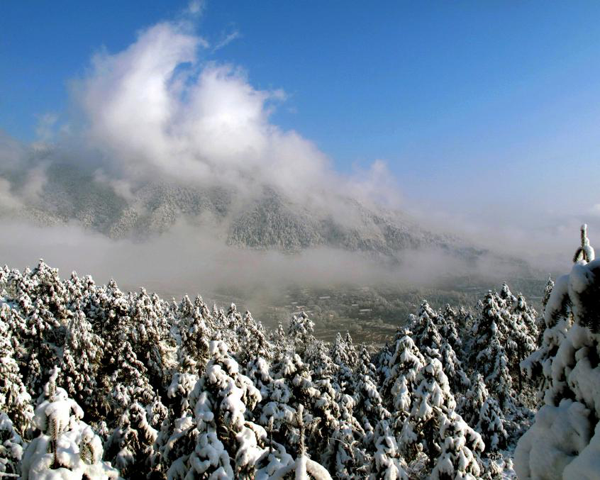 感天冻地龙泉这个地方下雪啦美的很过分