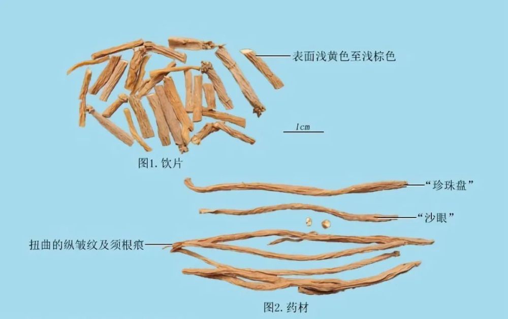 清风典历六朝荒烟怆往事