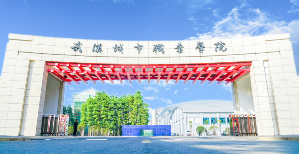 湖北2020专科学校排_2020年湖北省专科院校预算出炉