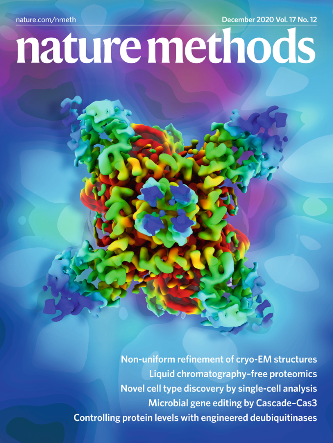 量子编程｜12月“自然”系列期刊封面，你最喜欢哪一张？_腾讯新闻