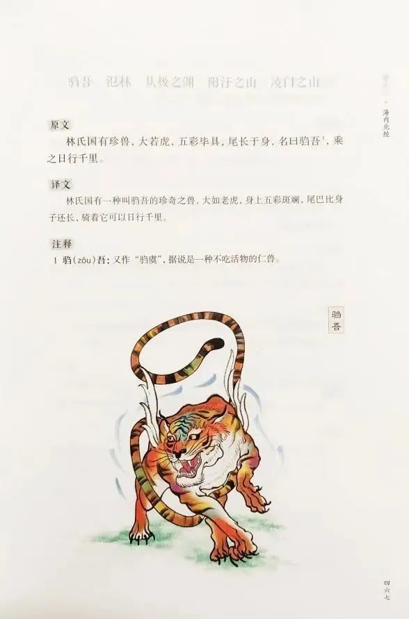 揭秘山海经中的神兽驺虞它是真实动物还是古代传说