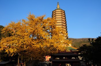 周邊被香山八大處,永定河,法海寺森林公園環繞,可以說是