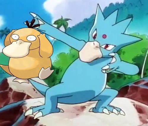 神奇宝贝图鉴no055体态优雅的高速泳者哥达鸭