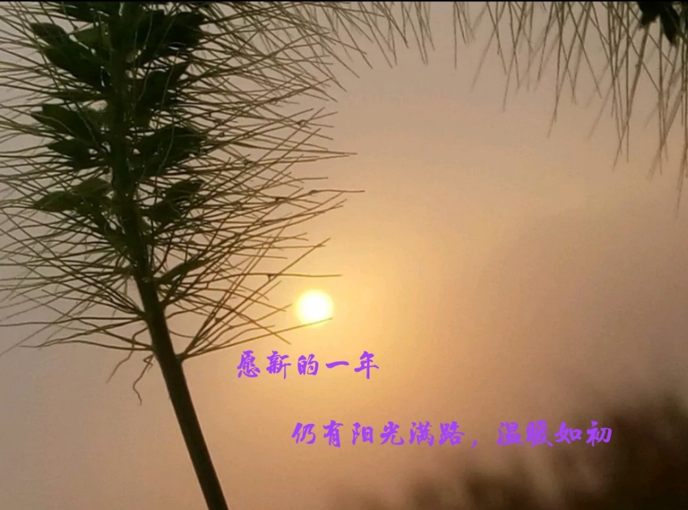 10.新的一年,仍有阳光满路,温暖如初.11.